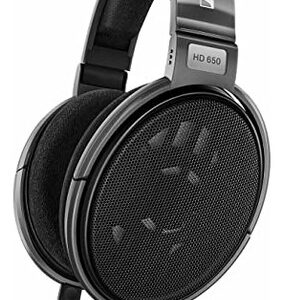 Sennheiser HD 650 Audio Hi-Fi Auriculares Abiertos, Titan -