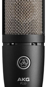 Micrófono Akg P220 Condensador Cardioide Color Negro