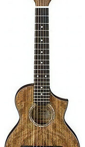 Ibanez Ewp14opn Guitarra Acustica Piccolo