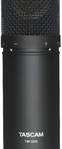 Micrófono De Condensador Tascam Tm-280, Color Negro