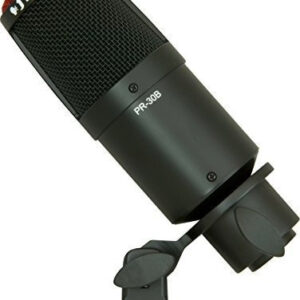 Heil Sound Pr 30b Diafragma Grande Microfono Dinamico