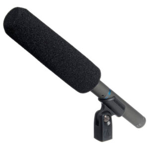 Micrófono De Cañón Audio-technica At897 Color Negro