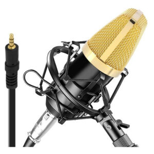 Paquete De Micrófono De Condensador, Micrófono De Grabación Color Dorado